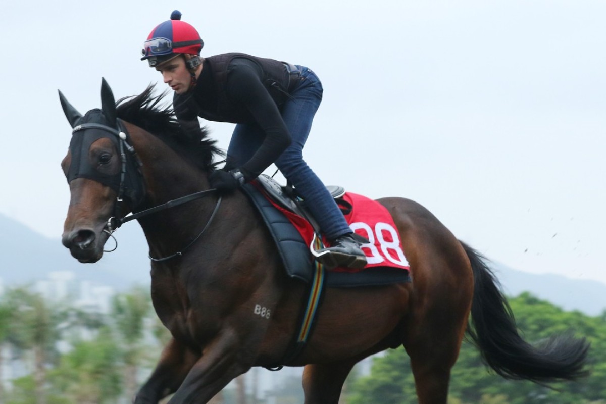 Sam Clipperton and Rivet at trackwork. Photos: Kenneth Chan