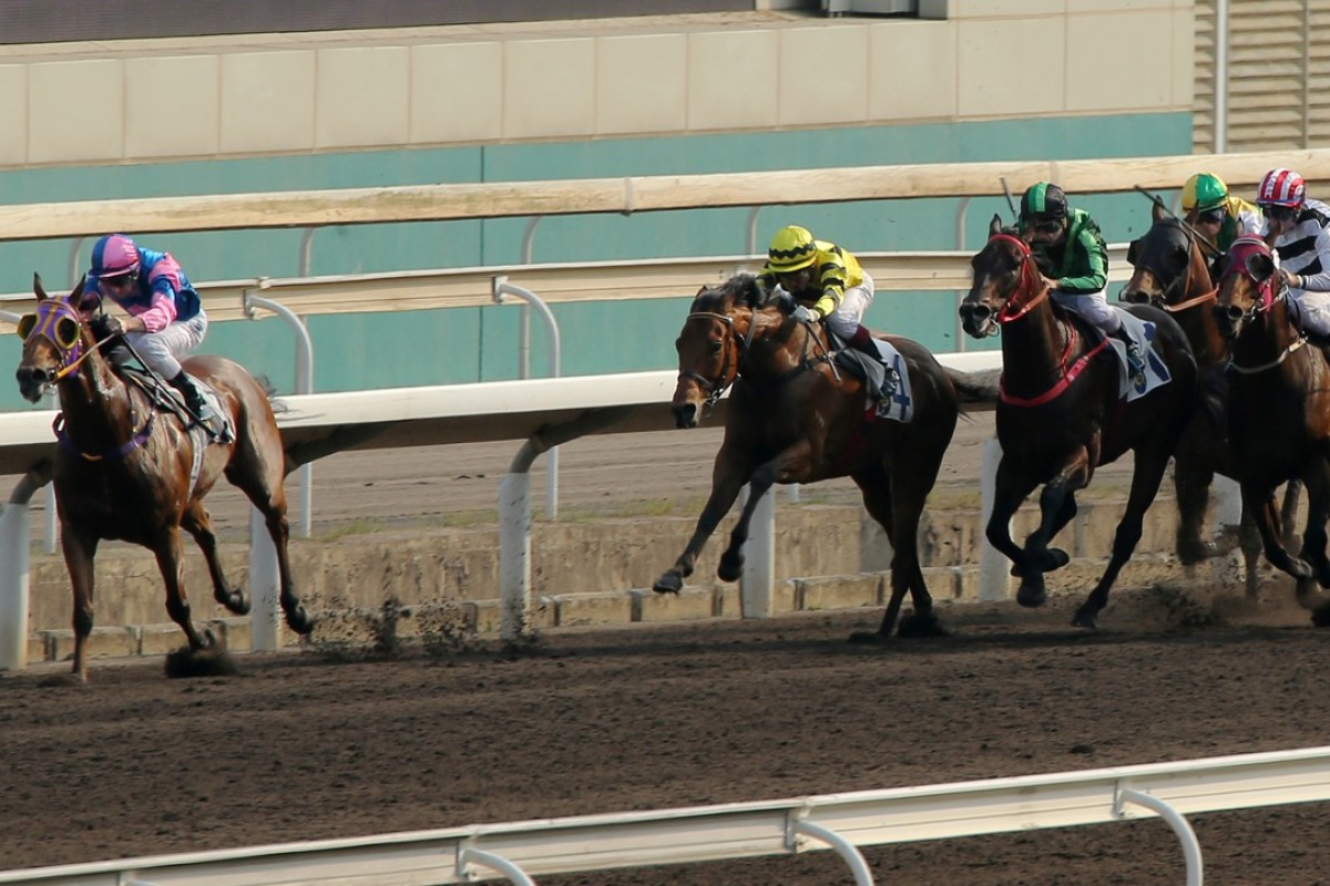 Perpetual Treasure (left) bolts clear of his rivals on the all-weather track at Sha Tin on Sunday. Photos: Kenneth Chan