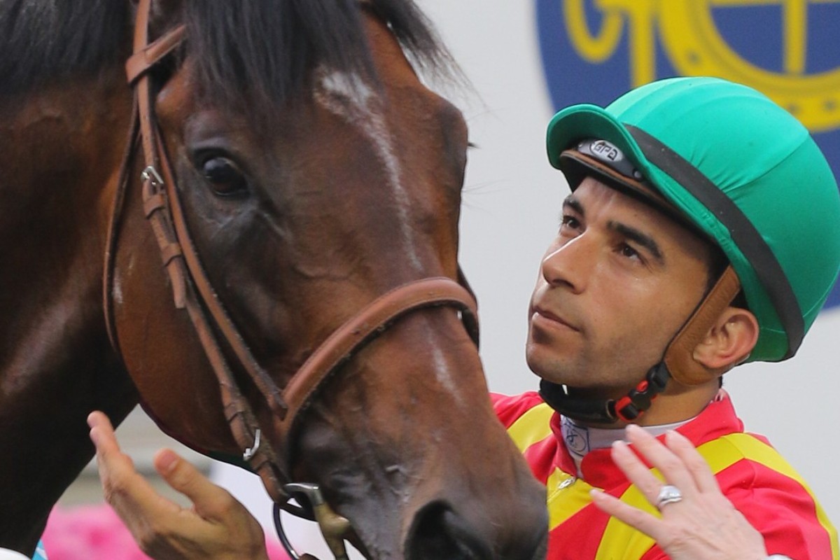 Joao Moreira admires Maurice after winning the 2016 Champions Mile. Photo: Kenneth Chan