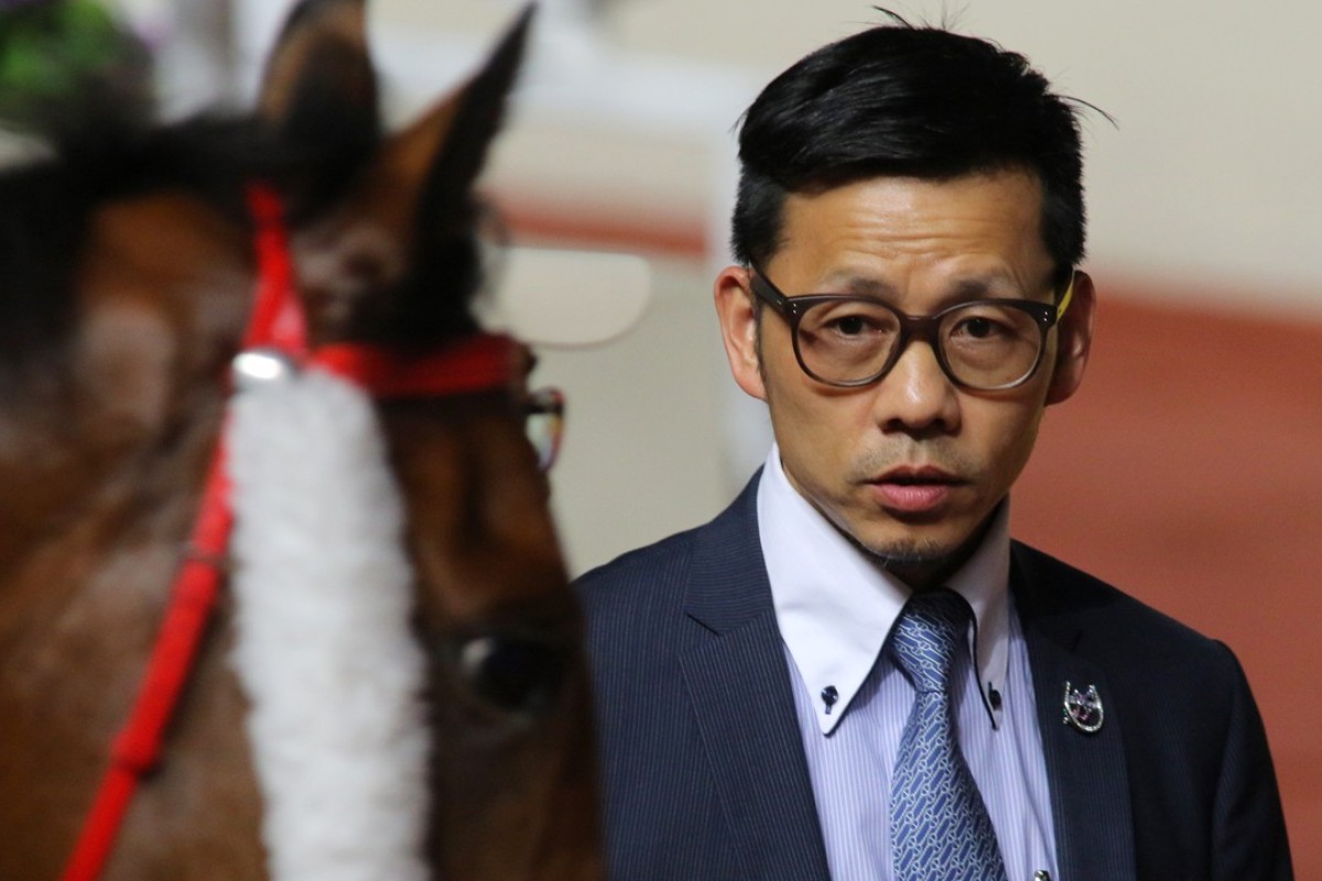 Trainer Frankie Lor looks over his horse Turin Redstar. Photo: Kenneth Chan