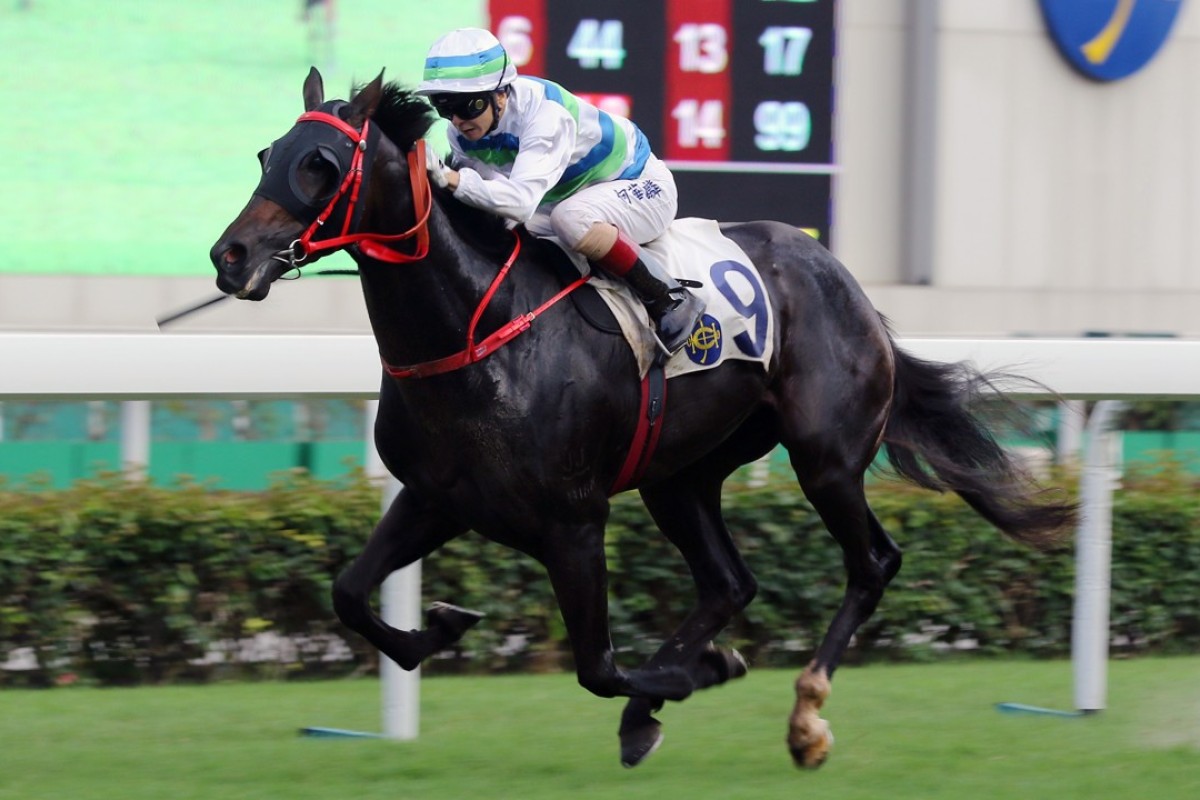 Peter Ho drives Voyage King to victory at Sha Tin on Saturday. Photo: Kenneth Chan