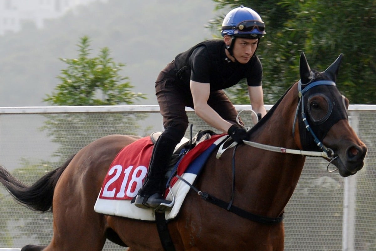 Sky Melody gallops on the Sha Tin turf on May 14. Photo: Kenneth Chan