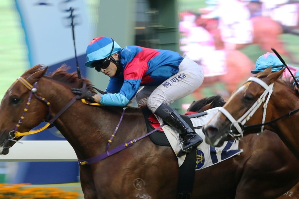 Keith Yeung drives Coby Boy to victory at Sha Tin. Photos: Kenneth Chan