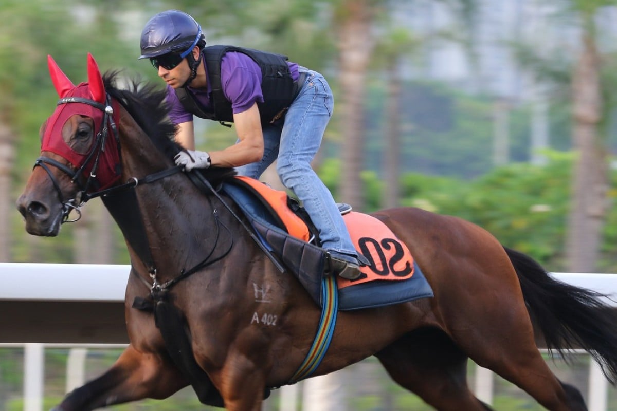 Joao Moreira rides Circuit Glory at trackwork on Monday morning. Photos: Kenneth Chan