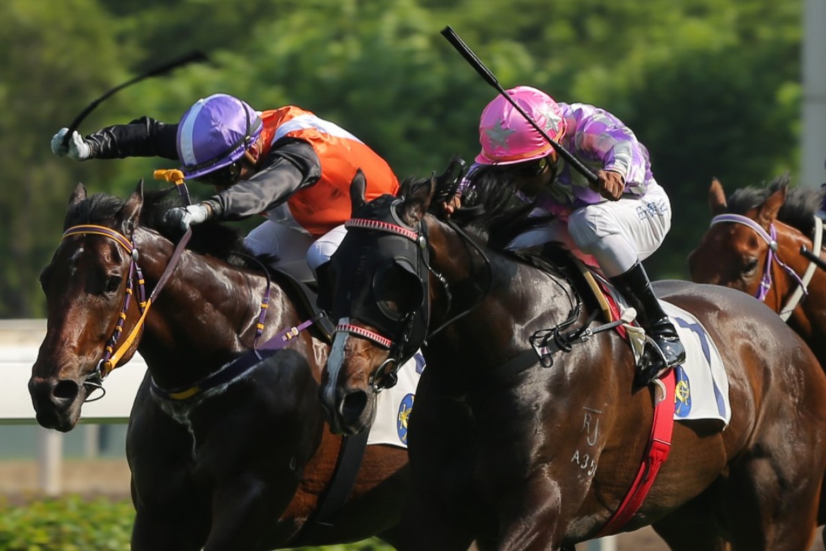 Cruising (left) finishes second to Alcari (right) at Sha Tin on Sunday. Photo: Kenneth Chan