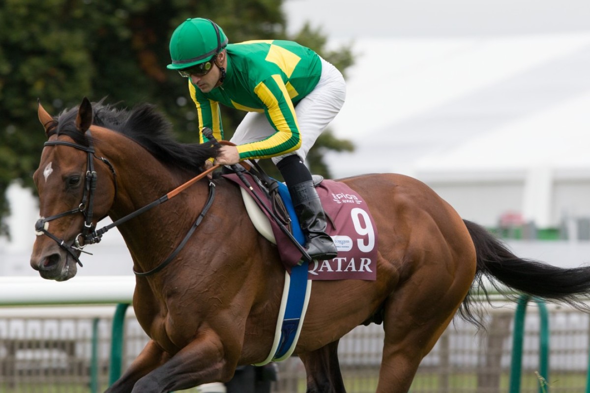 Satono Diamond and jockey Christophe Lemaire. Photo: Handout