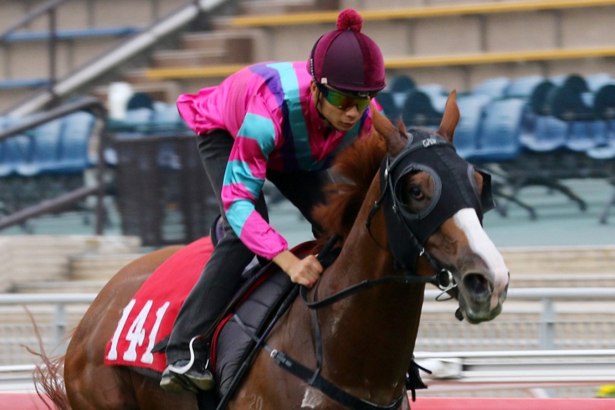 Derek Leung wins a barrier trial with Striking Mr C. Photo: Kenneth Chan