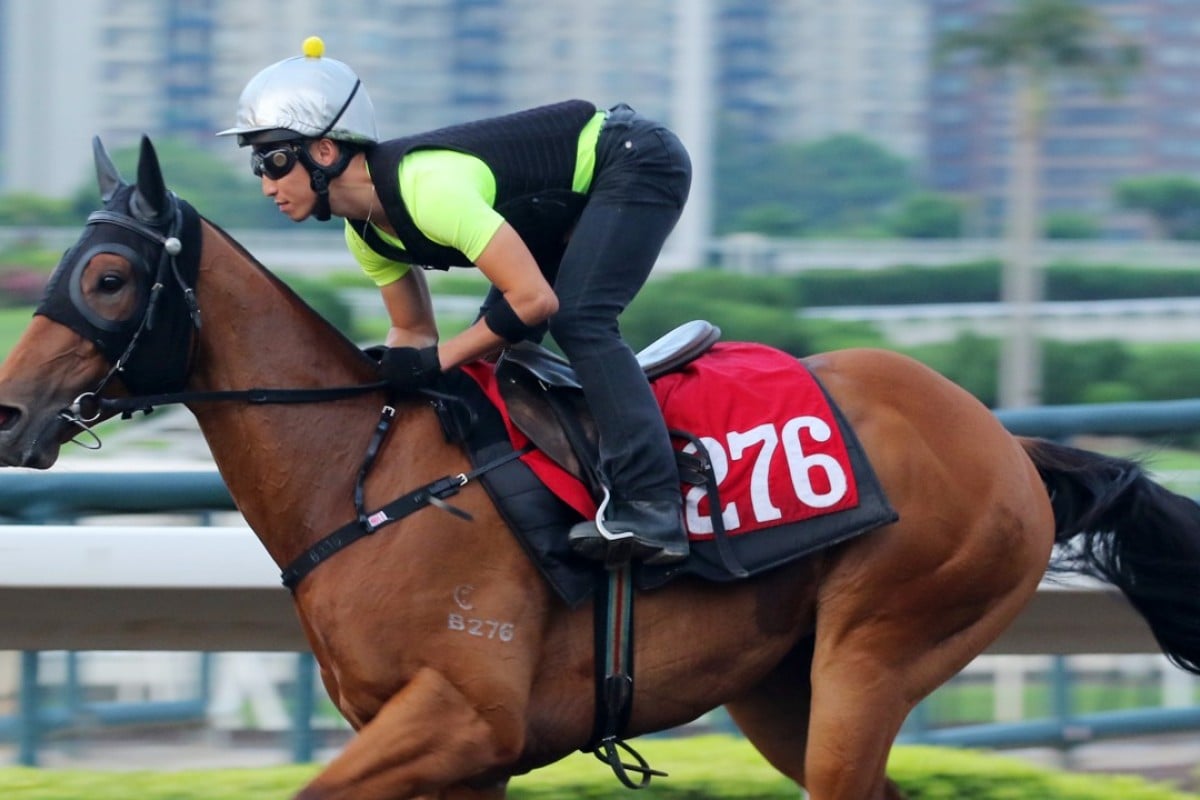 Fortune Anthem gallops at trackwork on Monday morning. Photo: Kenneth Chan