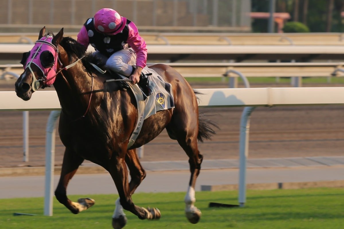 Beauty Generation gaps his rivals in the Celebration Cup. Photos: Kenneth Chan