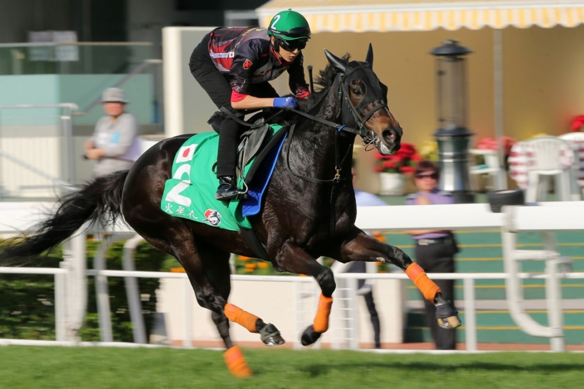 Hong Kong Vase runner Crocosmia gallops at Sha Tin on Tuesday. Photos: Kenneth Chan