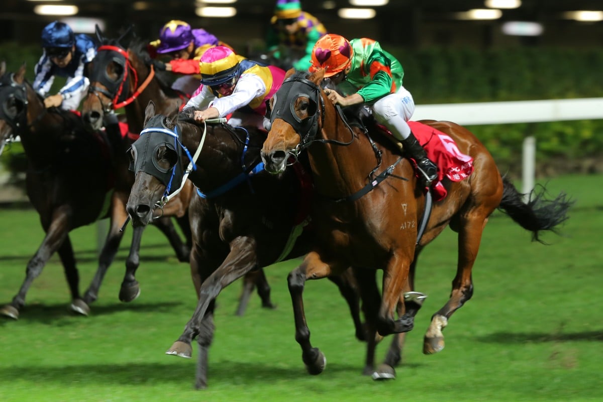 Rule Thee (right) flashes home to win at Happy Valley this season. Photos: Kenneth Chan