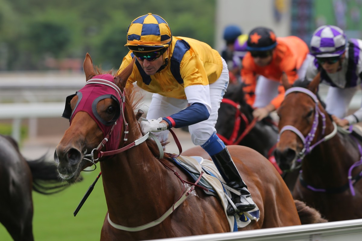 Douglas Whyte coasts to victory on Styling City last month. Photos: Kenneth Chan