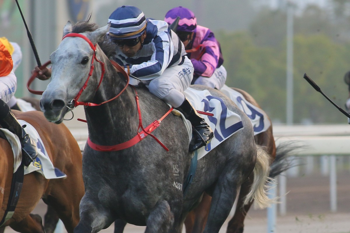 Fifty Fifty wins at Sha Tin in January last year. Photos: Kenneth Chan