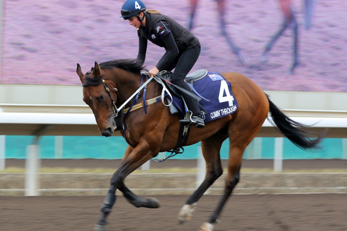 Comin’ Through prepares for the Hong Kong Mile at Sha Tin in December. Photos: Kenneth Chan