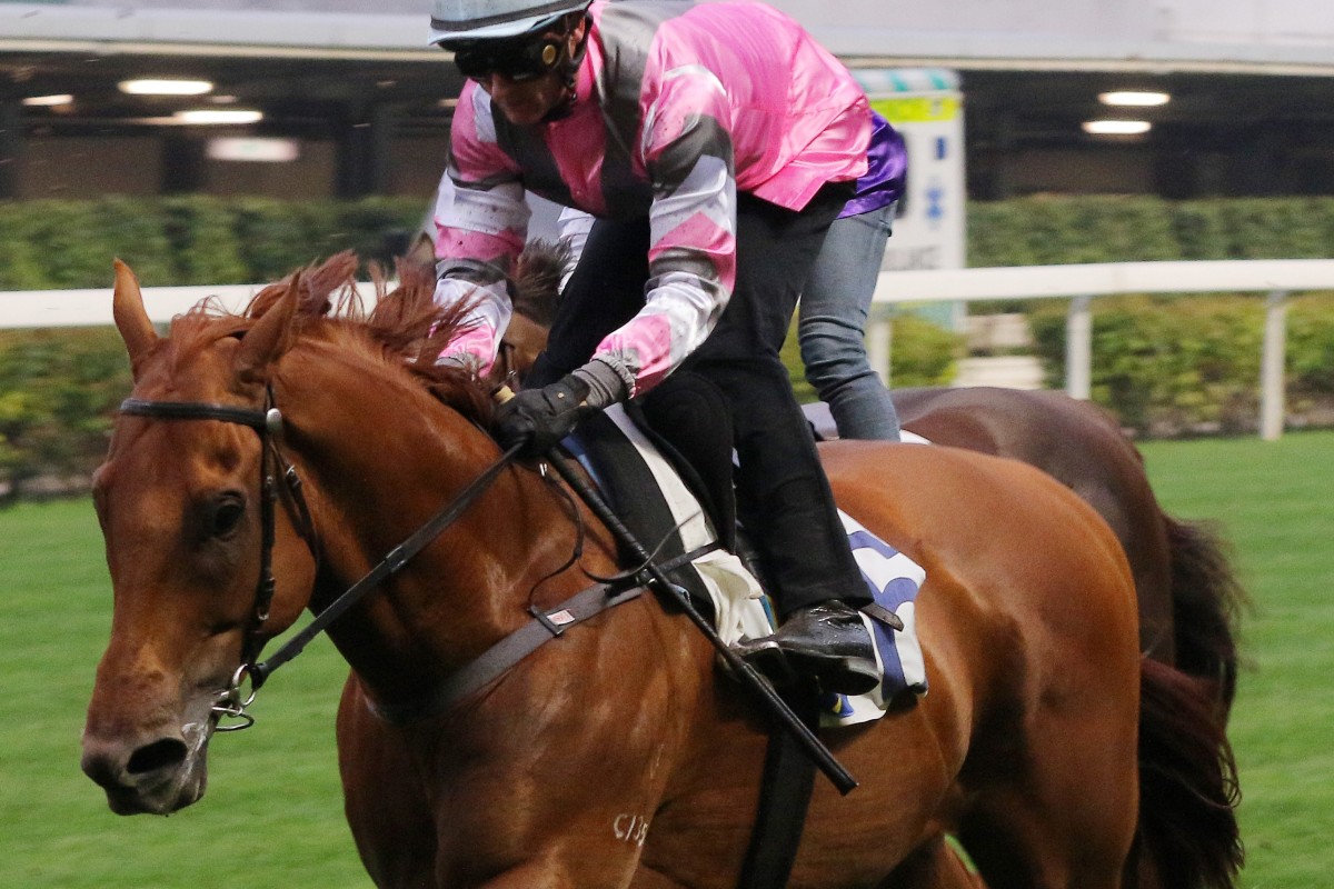 Jockey Zac Purton trials Band Of Brothers at Happy Valley earlier this month. Photos: Kenneth Chan