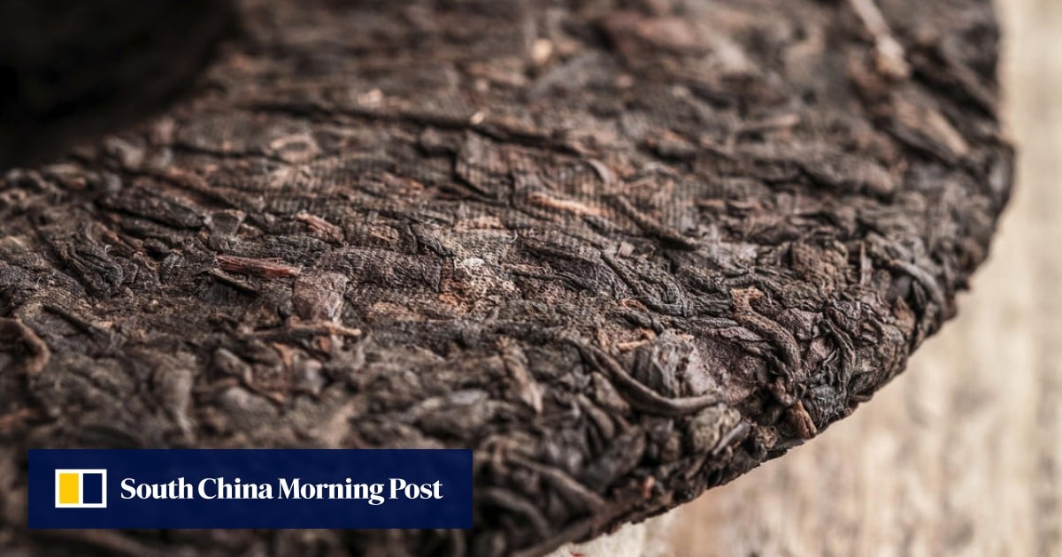 Rare and expensive Asian teas are gaining global popularity Style
