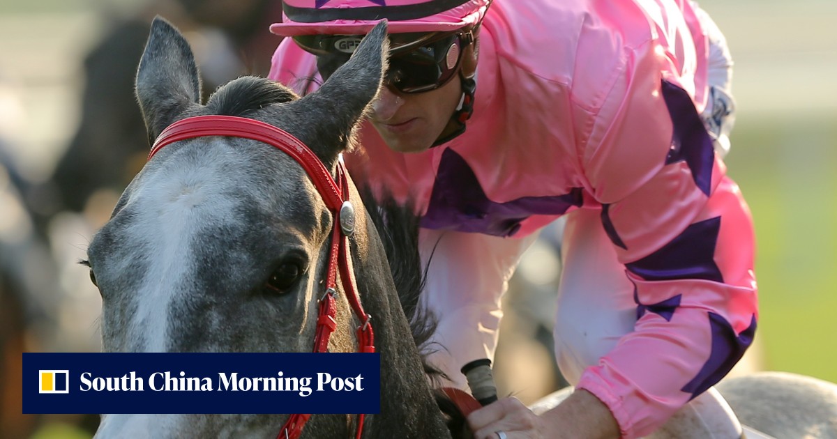 John Size could throw Hot King Prawn on the back-burner after fourth ...