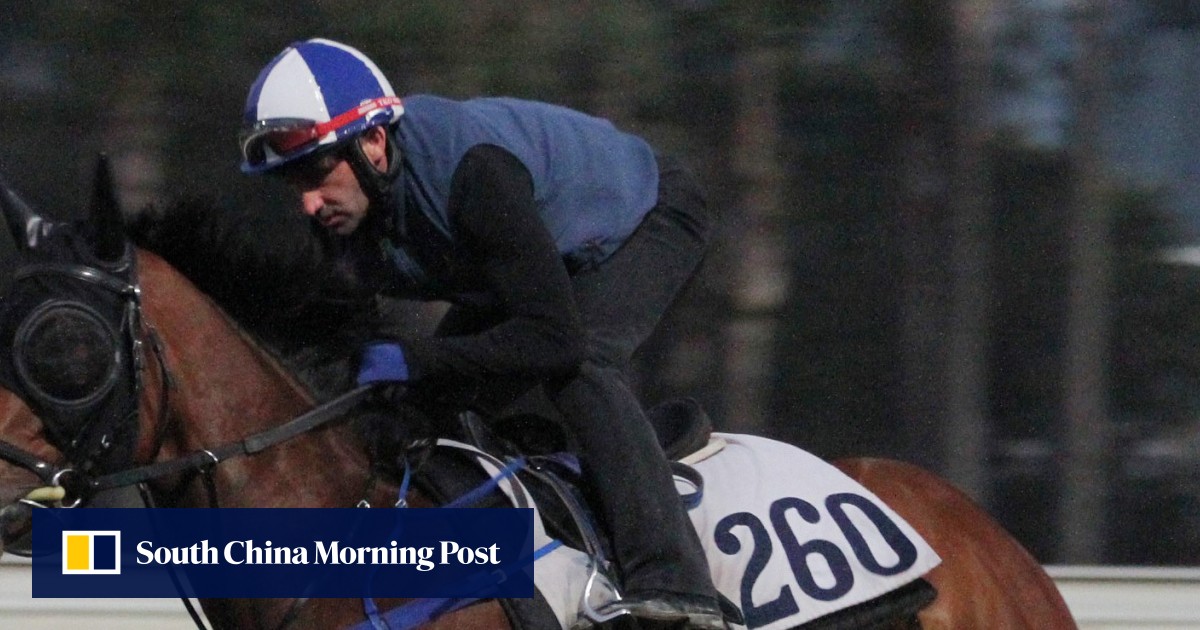 Forgive David Ferraris’ Daring Heart – he wasn’t happy with his saddle ...