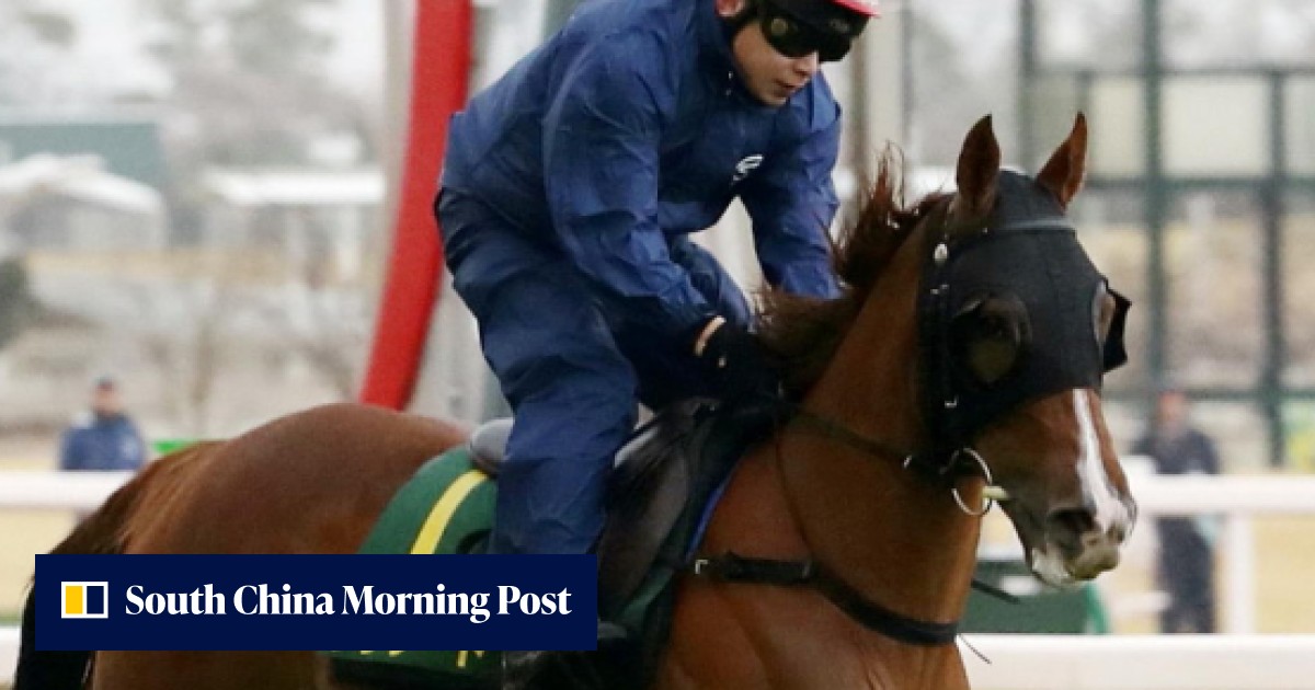 ‘Like an old man driver’: uncertain Blizzard fails to impress in Japan ...