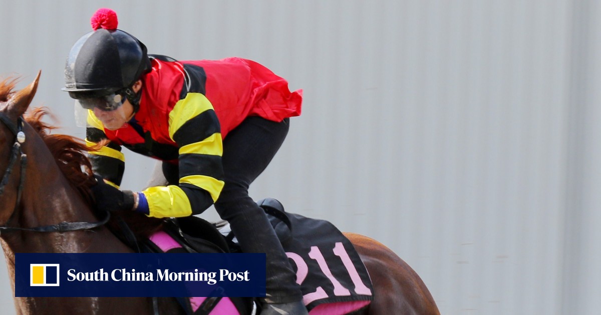 Full Steam Ahead Francis Lui Confirms Lucky Bubbles Trip To Japan Hk Racing South China Morning Post