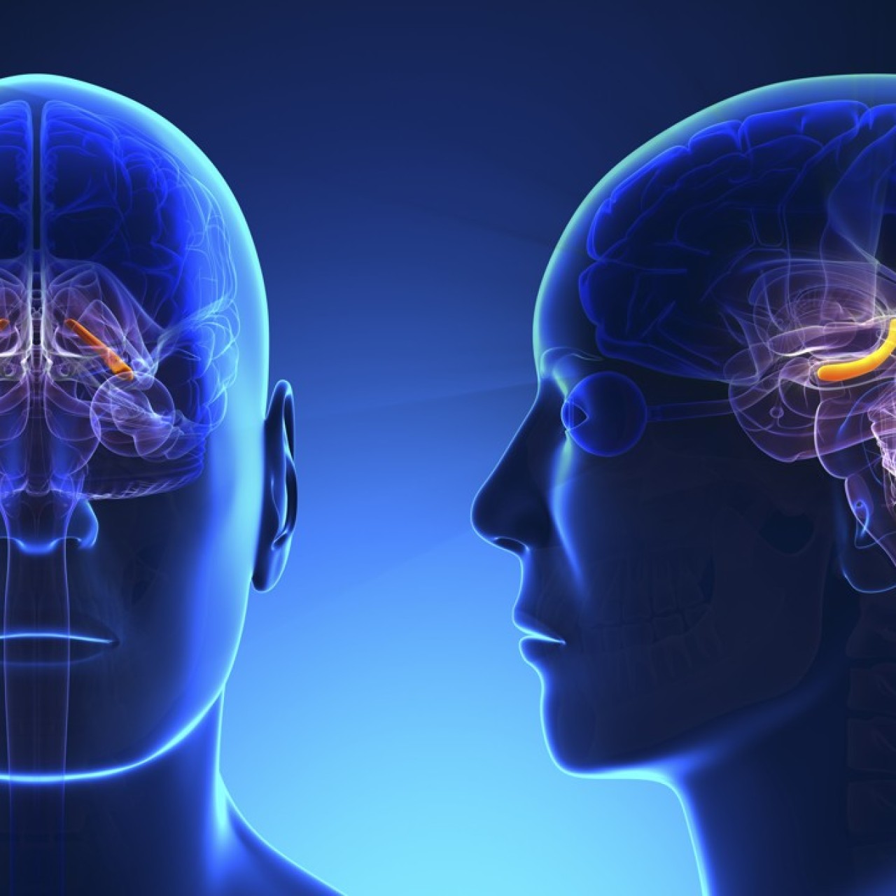Despite Dearth Of Data Firms Sell Brain >> Even Moderate Drinking Can Damage The Brain Researchers Now Say Despite Dearth Of Data Firms Sell Brain >> Even Moderate Drinking Can Damage The Brain Researchers Now Say